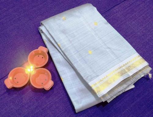 SALEM SILK SAREE WITH BLOUSE